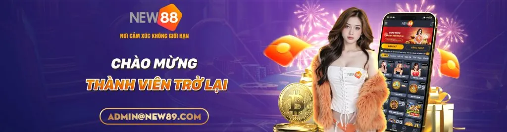 Hoàn trả cược đá gà hàng ngày/tuần