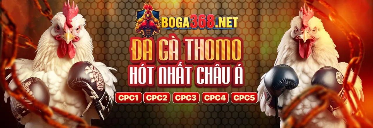 Sòng bạc trực tuyến bigboss game bài với trải nghiệm VIP và giải trí đẳng cấp