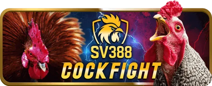 Cá cược bóng đá với các giải đấu lớn tại bigboss game bài
